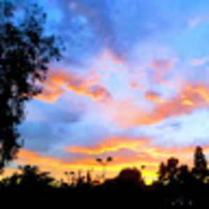 Meet your Posher, Tim